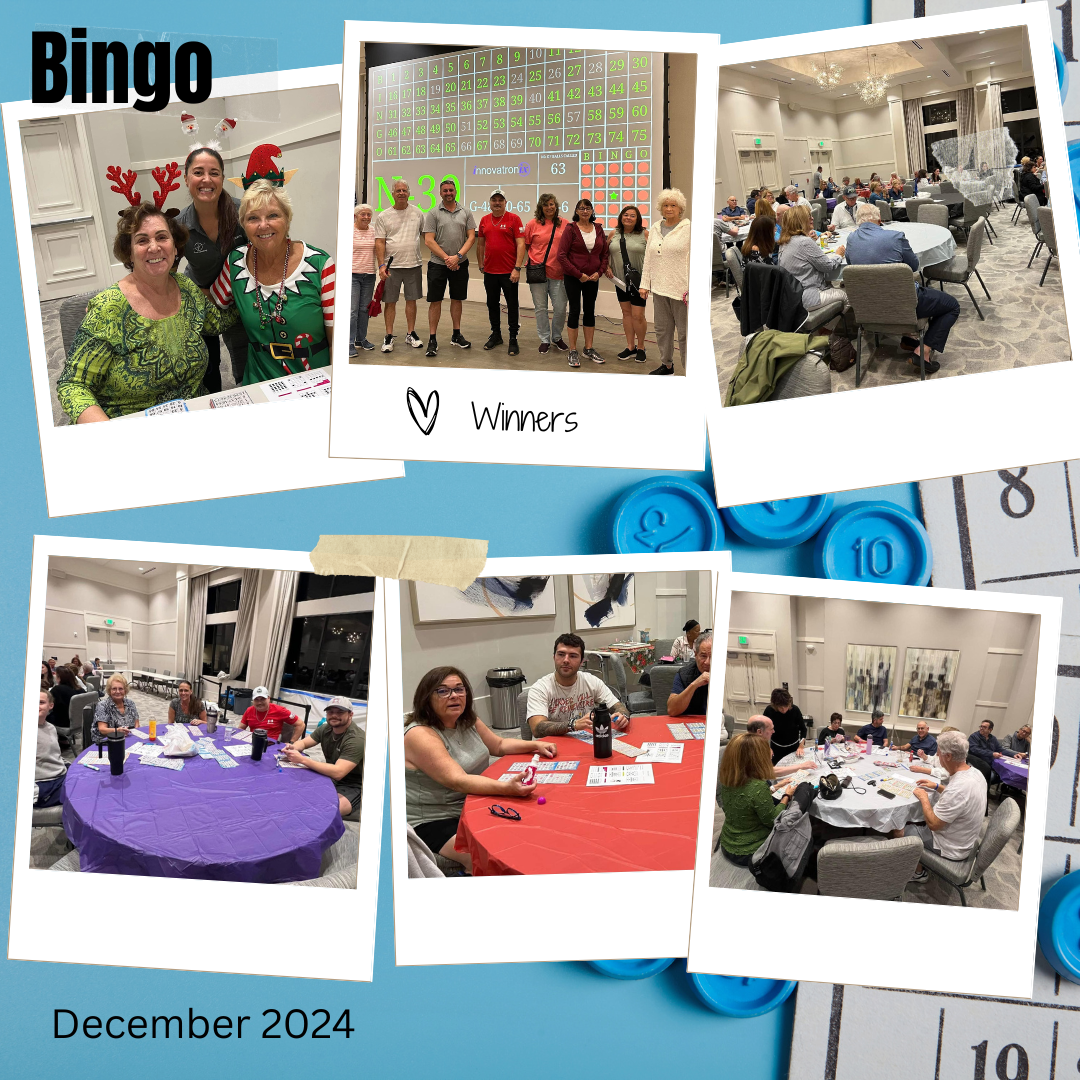 Bingo Dec 2024 Collage